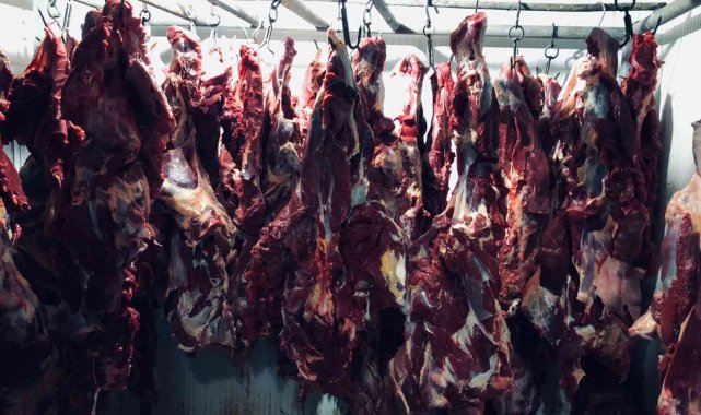 Baba oğul yine tek tırnaklı hayvan eti keserken yakalandı