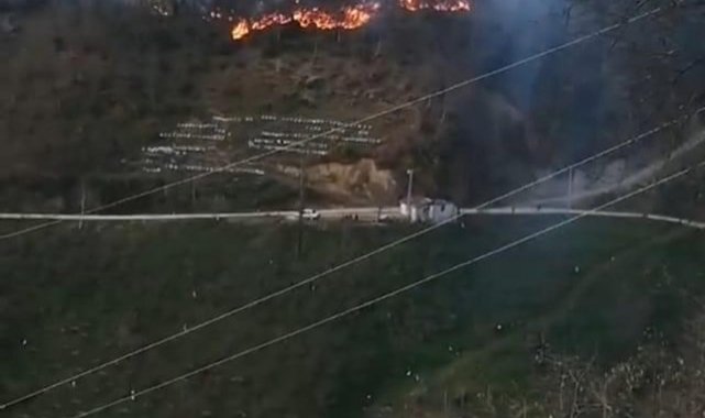 Bahçesinde ateş yakarken ormanlık alanda yangına neden oldu