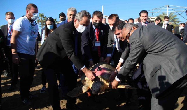 Bakan Kurum ve Özer tedavisi tamamlanan 2 caretta carettayı denize bıraktı