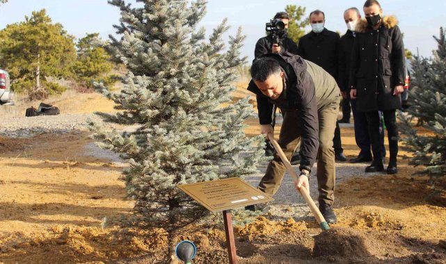 Bakan Pakdemirli, 252 milyonuncu fidanı toprakla buluşturarak can suyu verdi.