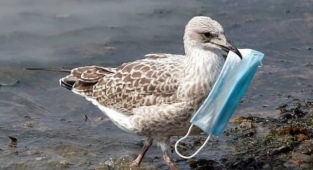 Bakanlık belirledi! İşte 2022'de çevreyi kirletenlere verilecek cezalar.