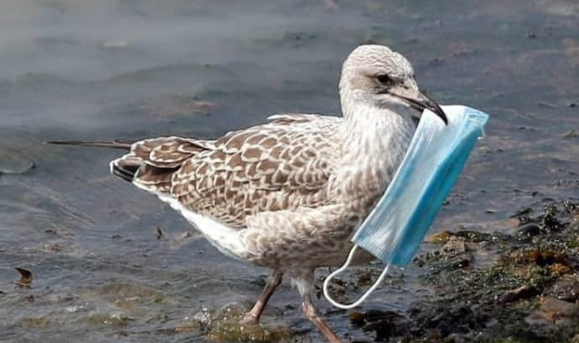 Bakanlık belirledi! İşte 2022&#039;de çevreyi kirletenlere verilecek cezalar.