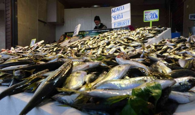 Balık av sezonunun yarısına gelindiğinde hamsi kayıplara karıştı