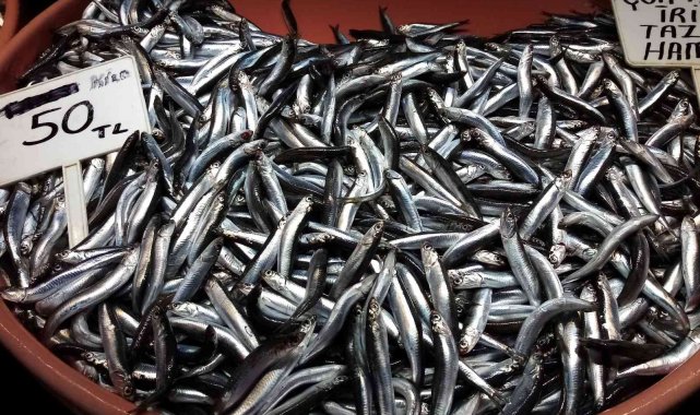 Balık az gelince fiyatlar yükseldi