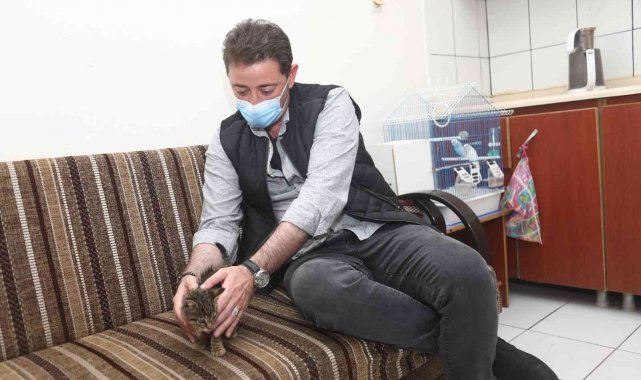 Bandırma Belediye Başkanı Tolga Tosun, " Bir Köpeğin yaptığı, tüm sokak dostlarımıza fatura edilemez"