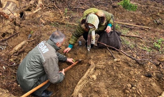 Bandırma'ya 5 bin fidanlık hatıra ormanı