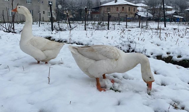 Bartın&#039;da yüksek kesimlerde kar yağışı