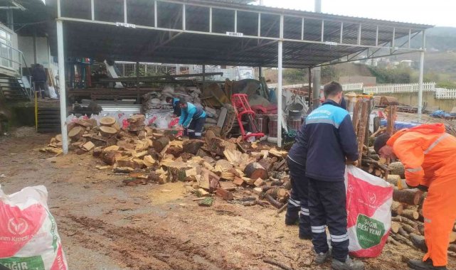 Başiskele&#039;de budanan ağaçlar vatandaşlara yakacak oluyor