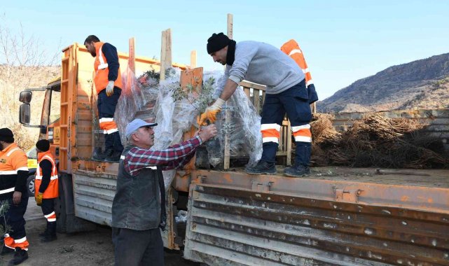 Başkan Altay: "Zeytin üretimi için 2 ilçemizde pilot uygulamaya başladık"