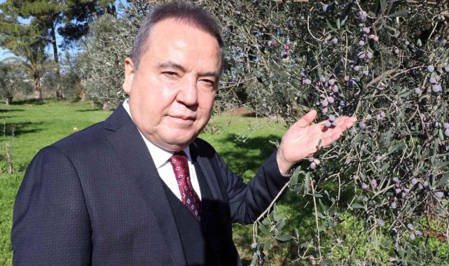 Başkan Böcek: &quot;Zeytin Park&#039;ı korumak boynumuzun borcudur&quot;