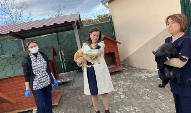 Başkan Çalkaya&#039;dan barınak denetimi