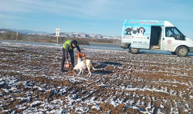 Başkan Kılıç: "Can dostlarımızın ihtiyaçlarını karşılıyoruz"