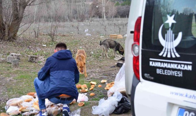 Başkan Oğuz: "Bu soğuk günlerde herkes kapısının önüne ya da parklara biraz yiyecek bırakabilir"