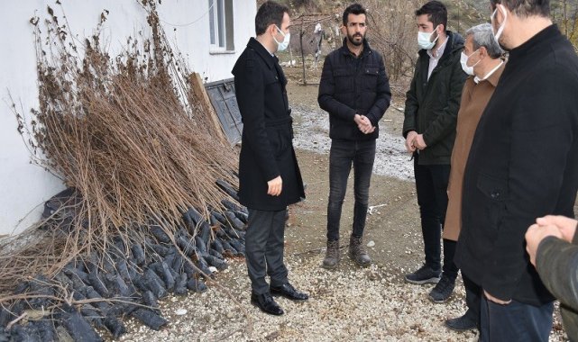 Batman'da ipek böceği yetiştiricilerine dut fidanı desteği verildi