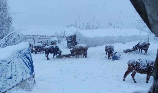 Batman'da kardan kapanan köy yollarının açılması için çalışmalar devam ediyor