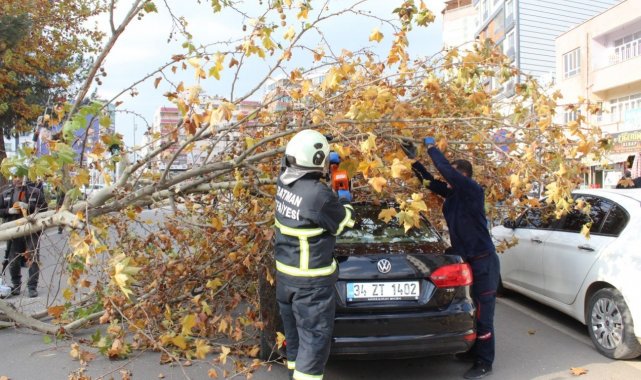 Batman'ı fırtına vurdu, ağaçlar devrildi
