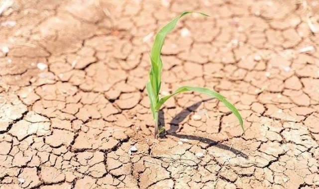 Bayburtlu üreticilere destek ödemeleri başladı