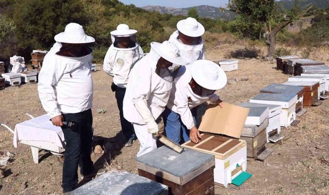 Bayraklı'da arıcılığa katkı sağlayacak kurs açıldı