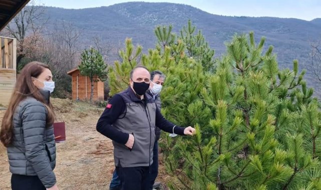 Bayraktaroğlu "Orman köylüsünün gönlüne dokunan işler yapıyoruz"