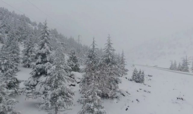 Beyaz gelinlikli orman drone ile görüntülendi