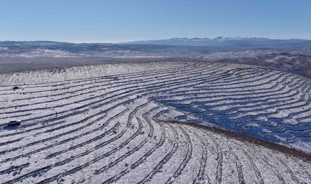 Bingöl'de 210 bin adet fidan toprakla buluştu