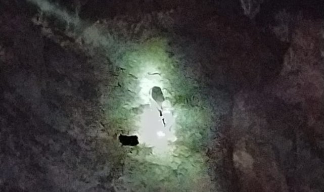 Bingöl'de kayalıklarda mahsur kalan keçiler kurtarıldı