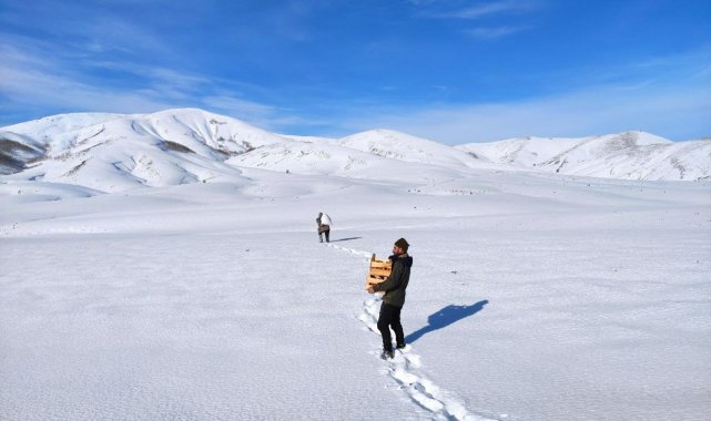 Bingöl&#039;de yaban hayvanları için doğaya yem bırakıldı
