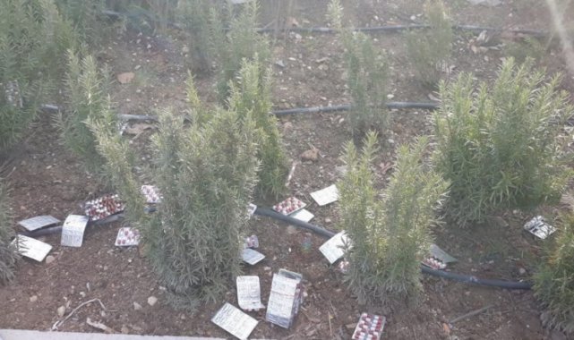 Binlerce uyuşturucu hapı yol kenarına atıp 10 km kaçtılar