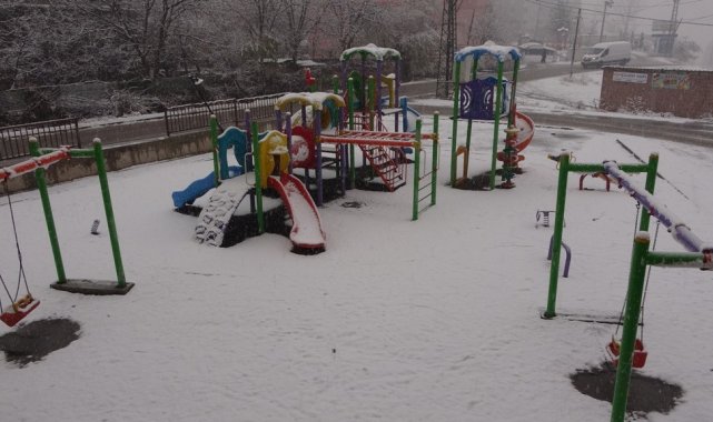 Bitlis'te kar yağışı etkili oldu