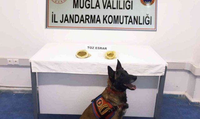 Bodrum'da uyuşturucu operasyonu