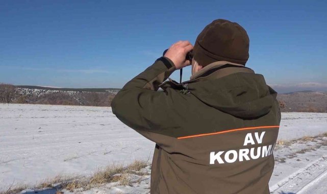 Bozkırın yaban hayatı korunuyor