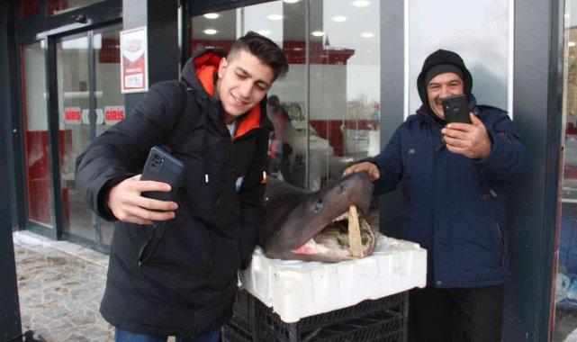 Bu balığı gören Erzurumlular telefonuna sarıldı