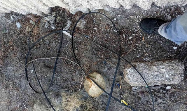 Bu kez direkleri çaldılar