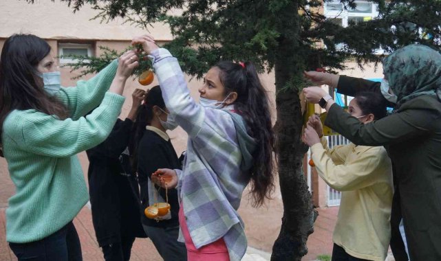 Bu okul hem çevreci hem de hayvan sever