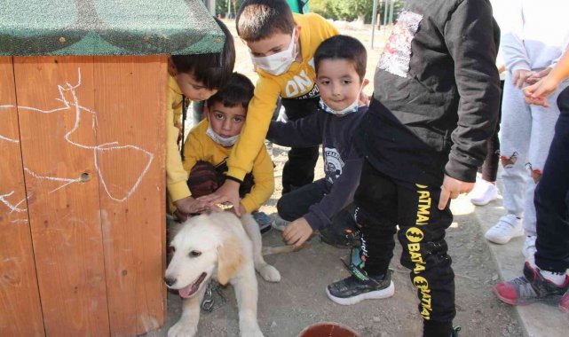 Bu okulda çocuklara hayvan ve doğa sevgisi aşılanıyor