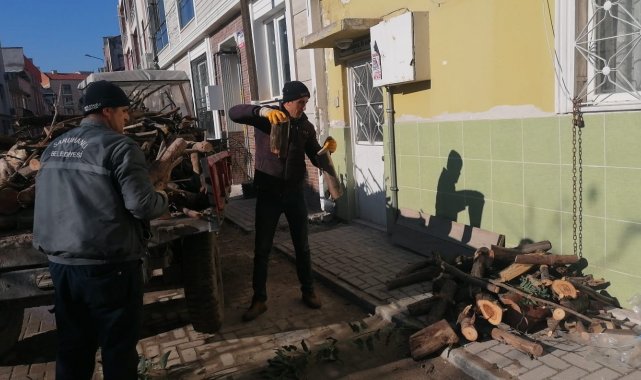 Budanan ağaç dalları ihtiyaç sahibi ailelere yakacak oldu