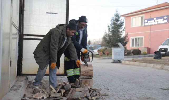 Budanan ağaçlar ihtiyaç sahiplerine yakacak oluyor