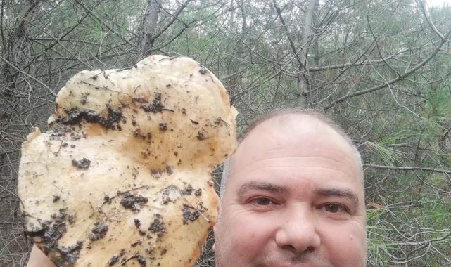 Burhaniye'de dev melki mantarı ilgi odağı oldu