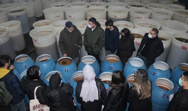 Burhaniye&#039;de üniversiteli gençlerden zeytinyağı fabrikasına teknik gezi