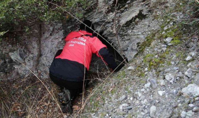 Bursa'da kaybolan eski muhtarın cansız bedenine ulaşıldı