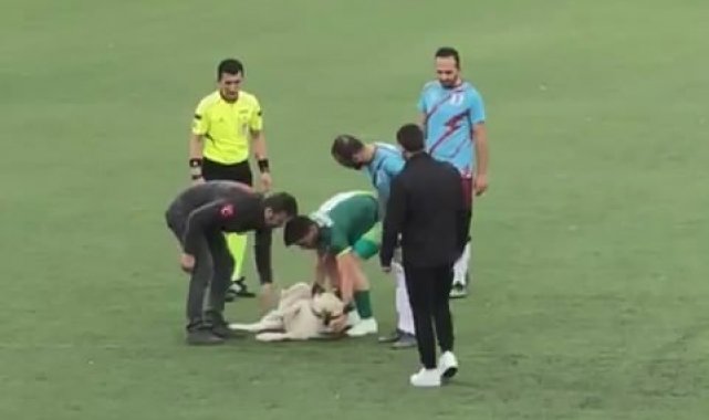 Bursa'da nefes kesen mücadeleye 'köpek' molası