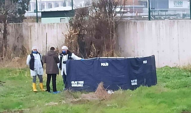 Bursa'da yarısı köpekler tarafından parçalanmış erkek cesedi bulundu