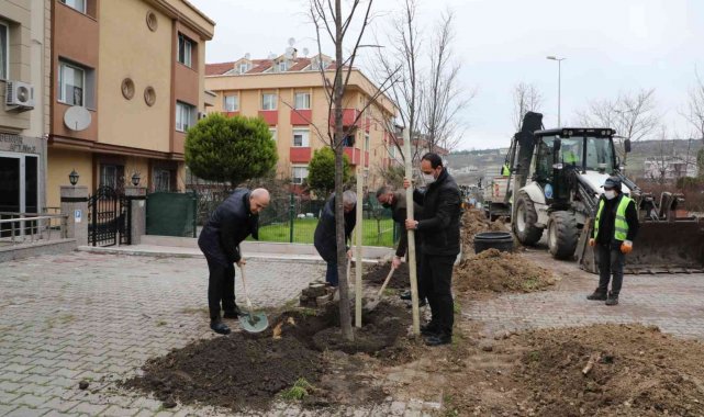 Büyükçekmece 2022 yılına 22 ıhlamur ağacı dikerek girdi