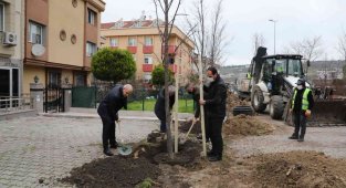 Büyükçekmece 2022 yılına 22 ıhlamur ağacı dikerek girdi