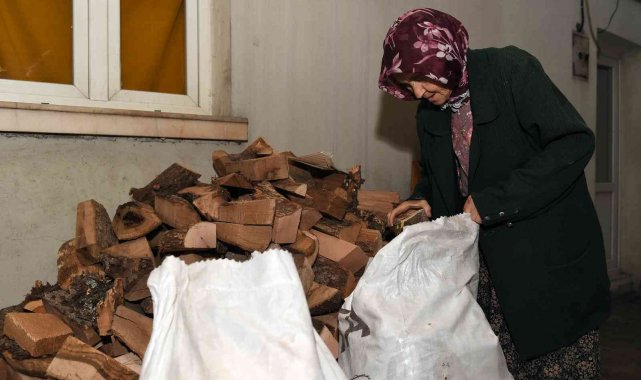 Büyükşehir Belediyesinden yaşlılara odun desteği
