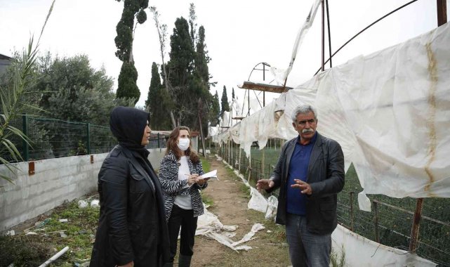 Büyükşehir çiftçinin yaralarını sarmak için hasar tespiti yapıyor