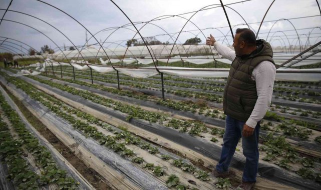Büyükşehir'den afetzede çiftçilere 6 bin metrekare sera naylonu