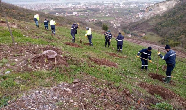 Büyükşehirden Gölcük Hisareyn&#039;e bal ormanı