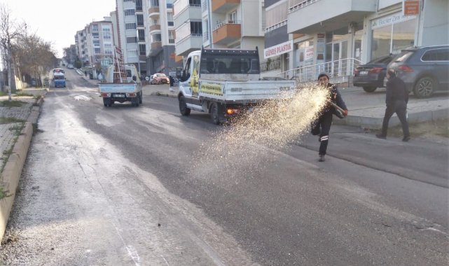 Buzlanmaya karşı tuzlu mücadele