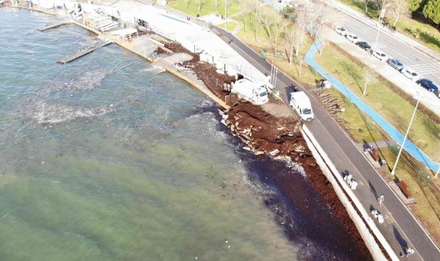 Caddebostan Sahili yeniden kırmızı yosunlarla kaplandı